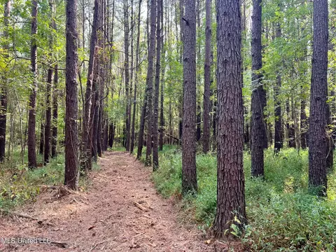 358 Robinson Springs Rd, Flora, MS 39071 photo 30