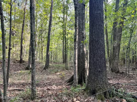 358 Robinson Springs Rd, Flora, MS 39071 photo 32
