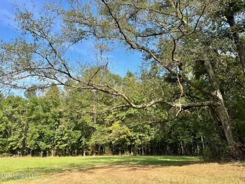 358 Robinson Springs Rd, Flora, MS 39071 photo 28