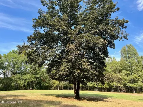 358 Robinson Springs Rd, Flora, MS 39071 photo 24