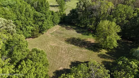 358 Robinson Springs Rd, Flora, MS 39071 photo 7