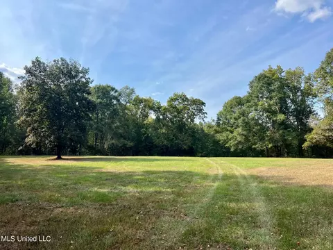 358 Robinson Springs Rd, Flora, MS 39071 photo 3