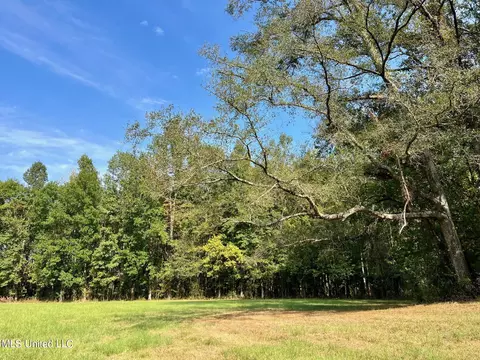 358 Robinson Springs Rd, Flora, MS 39071 photo 27