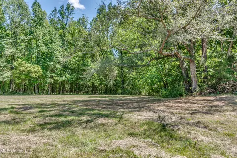 358 Robinson Springs Rd, Flora, MS 39071 photo 10