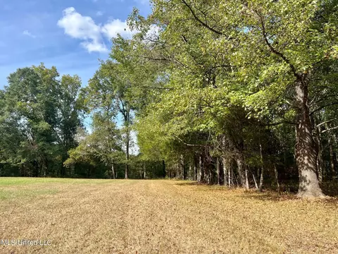 358 Robinson Springs Rd, Flora, MS 39071 photo 23