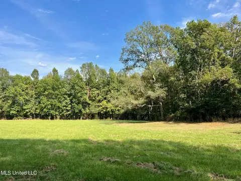 358 Robinson Springs Rd, Flora, MS 39071 photo 26