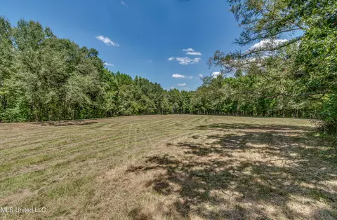 358 Robinson Springs Rd, Flora, MS 39071 photo 9
