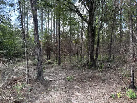 202 Smith Rd, Lumberton, MS 39455 photo 23