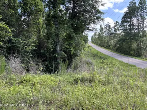 202 Smith Rd, Lumberton, MS 39455 photo 24