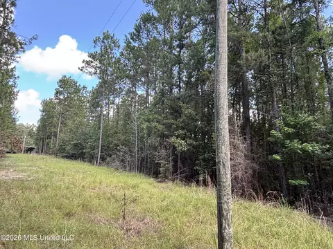 202 Smith Rd, Lumberton, MS 39455 photo 26