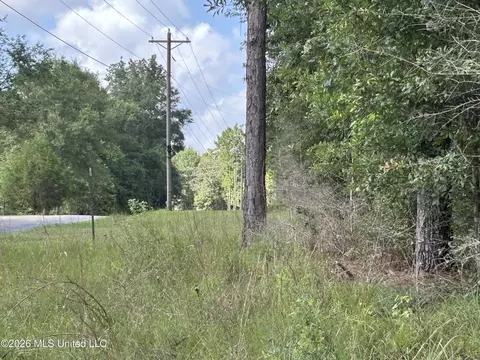 202 Smith Rd, Lumberton, MS 39455 photo 25