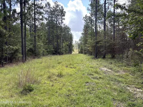 202 Smith Rd, Lumberton, MS 39455 photo 22