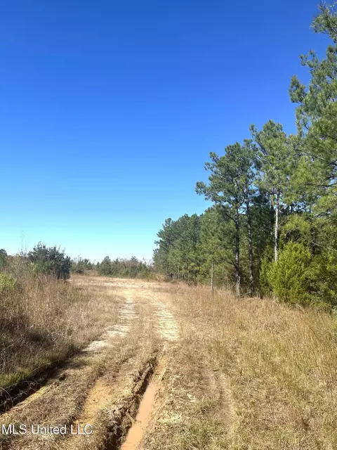 tbd N Highway 80, Pearl, MS 39208 photo 4