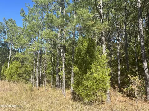 tbd N Highway 80, Pearl, MS 39208 photo 8
