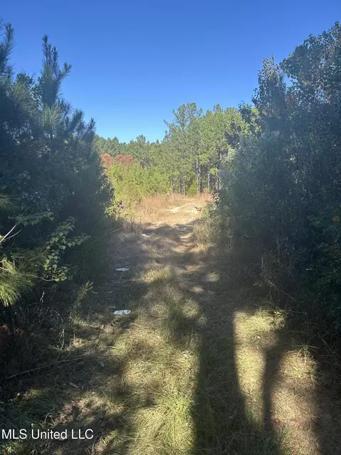 tbd N Highway 80, Pearl, MS 39208 photo 5