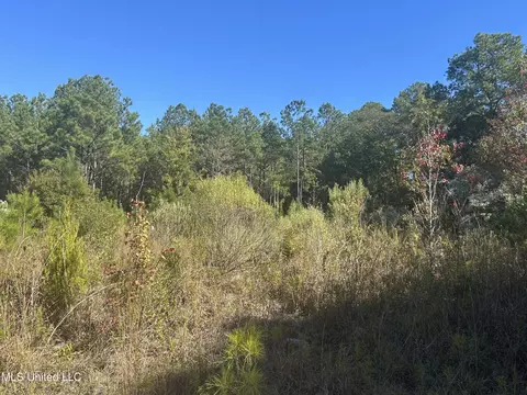 tbd N Highway 80, Pearl, MS 39208 photo 3