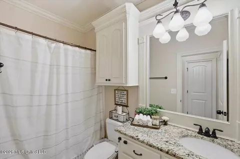 Bath - 200 Belle Oak Dr, Brandon, MS 39042 photo 3 of 4