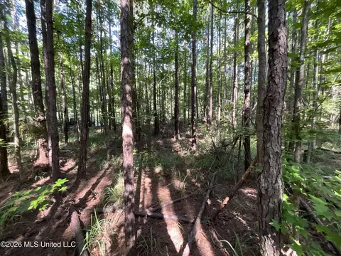 tbd Fox Rd, Gloster, MS 39638 photo 2