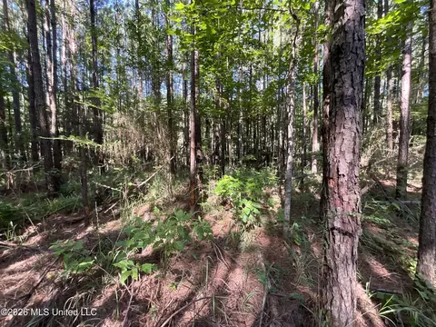 tbd Fox Rd, Gloster, MS 39638 photo 3