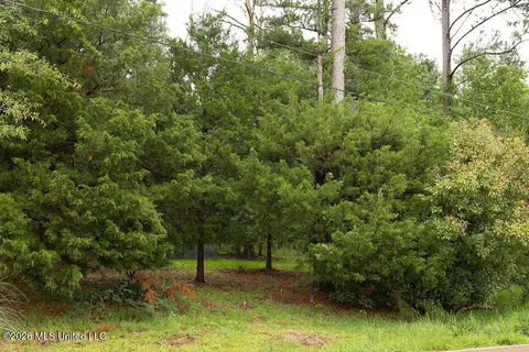6450 Manship Rd, Brandon, MS 39047 photo 9