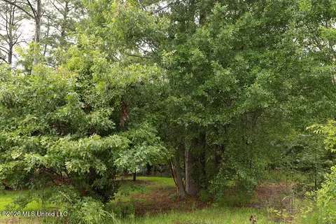 6450 Manship Rd, Brandon, MS 39047 photo 11