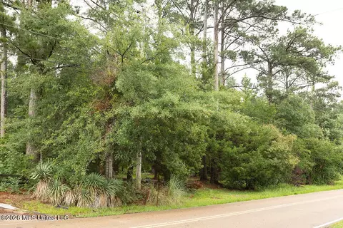 6450 Manship Rd, Brandon, MS 39047 photo 7