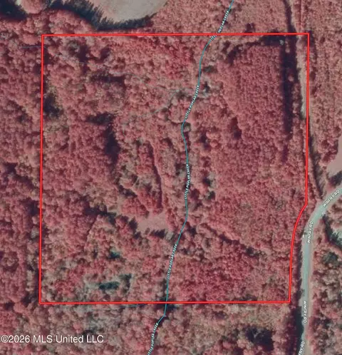 Winfry Road, Kilmichael, MS 39747 photo 19