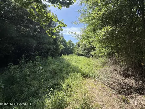 Winfry Road, Kilmichael, MS 39747 photo 3