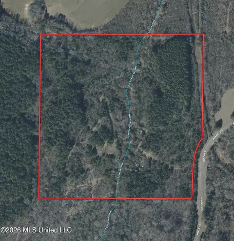Winfry Road, Kilmichael, MS 39747 photo 18