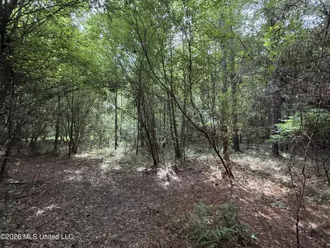 Winfry Road, Kilmichael, MS 39747 photo 10
