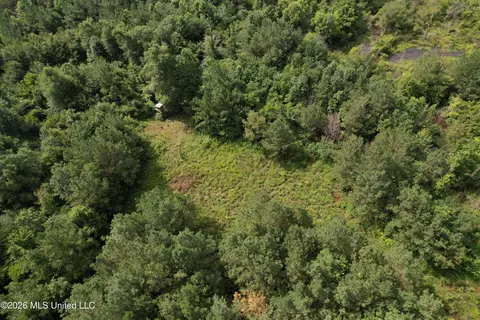Winfry Road, Kilmichael, MS 39747 photo 14