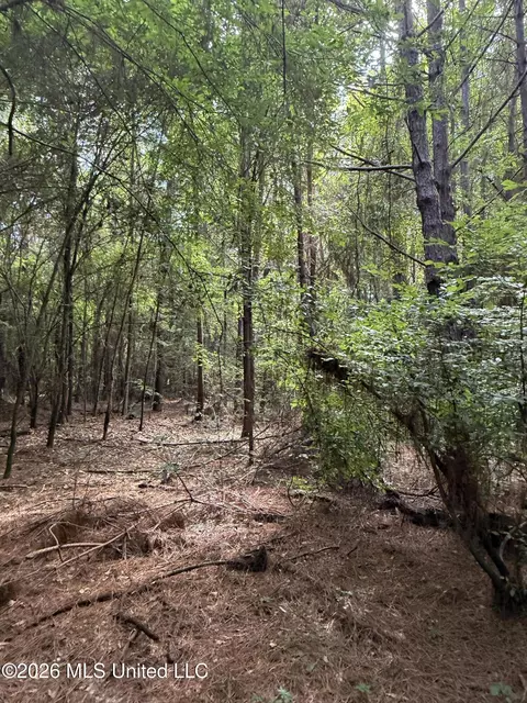 Winfry Road, Kilmichael, MS 39747 photo 8