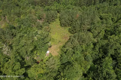 Winfry Road, Kilmichael, MS 39747 photo 17