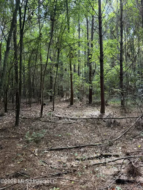 Winfry Road, Kilmichael, MS 39747 photo 9