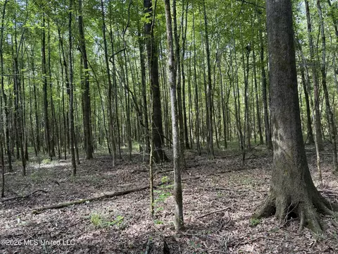Highway 407, Kilmichael, MS 39747 photo 5