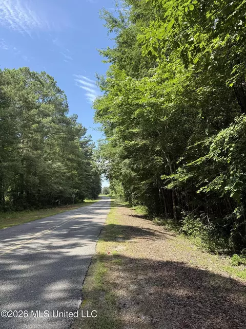 Highway 407, Kilmichael, MS 39747 photo 14