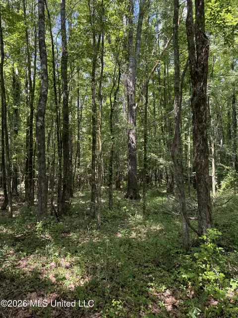 Highway 407, Kilmichael, MS 39747 photo 15