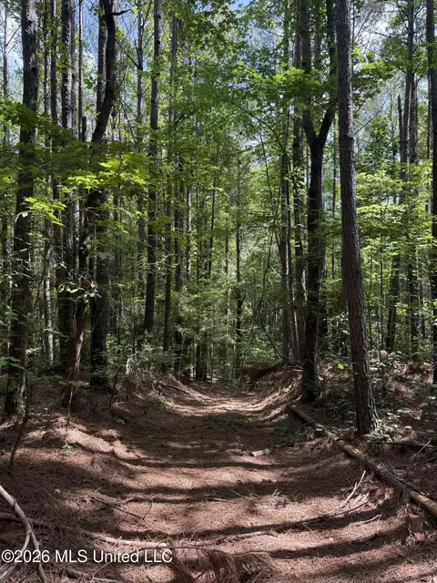 Highway 407, Kilmichael, MS 39747 photo 9