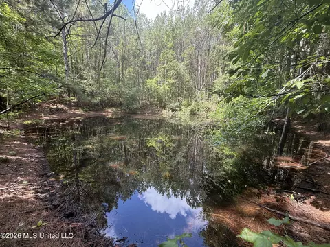 Highway 407, Kilmichael, MS 39747 photo 4