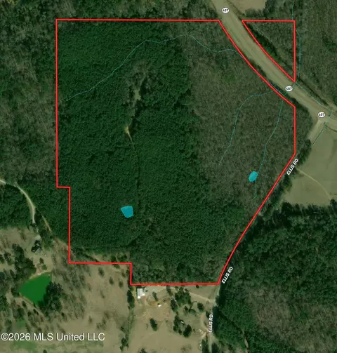 Highway 407, Kilmichael, MS 39747 photo 22