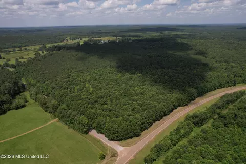 Highway 407, Kilmichael, MS 39747 photo 20