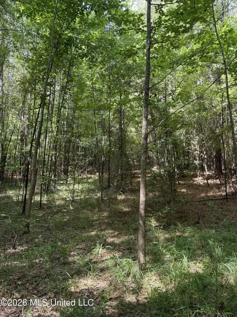 Highway 407, Kilmichael, MS 39747 photo 6