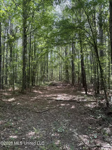 Highway 407, Kilmichael, MS 39747 photo 8