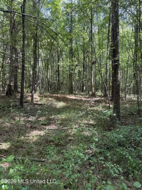 Highway 407, Kilmichael, MS 39747 photo 7
