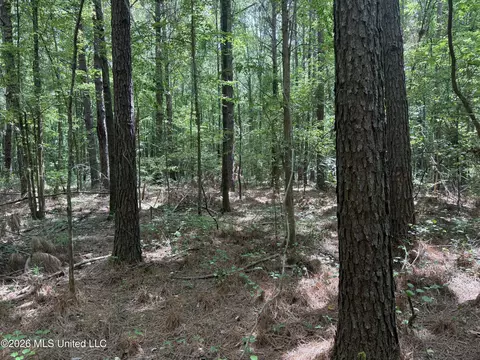 Highway 407, Kilmichael, MS 39747 photo 3