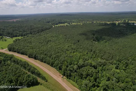 Highway 407, Kilmichael, MS 39747 photo 17