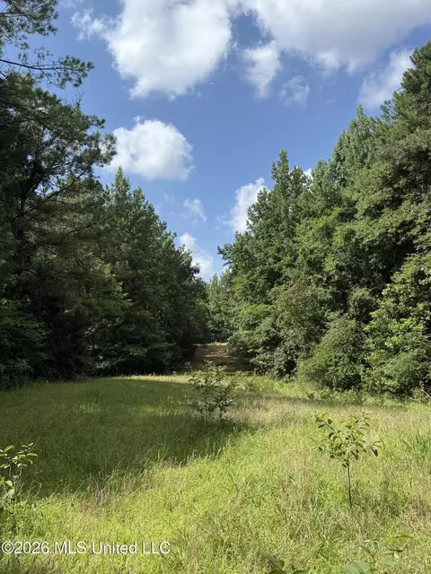 Highway 407, Kilmichael, MS 39747 photo 2
