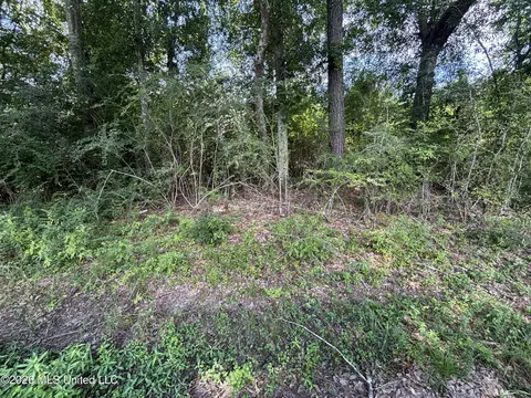 County Road 131b, Morton, MS 39117 photo 23