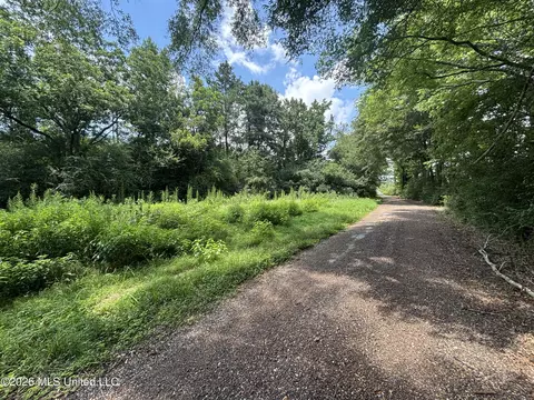County Road 131b, Morton, MS 39117 photo 20