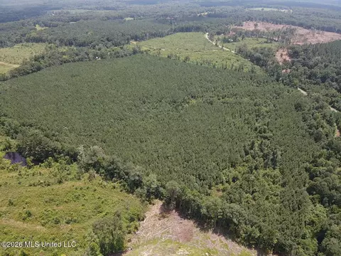 County Road 131b, Morton, MS 39117 photo 15